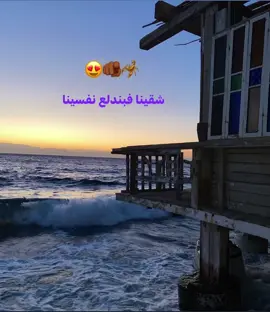 #شاهين #siri #foryou #viral #viral #fyp #foryoupage #repost #😍😍 #music 