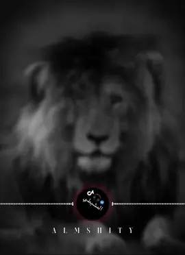 ⭐🎧 #ليبيا🇱🇾#المشيطي_music #explore#fyp  #اغاني_ليبية#تصميم_اغاني #سوسه_بنغازي_البيضاء_طبرق_درنه_شحات_ليبيا #القياده_العامه_للجيش_الليبي #اغاني 