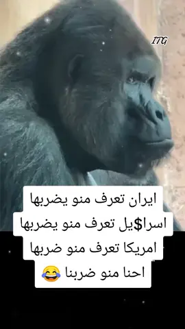 #الشعب_الصيني_ماله_حل #اكسبلورexplore #متابعة 