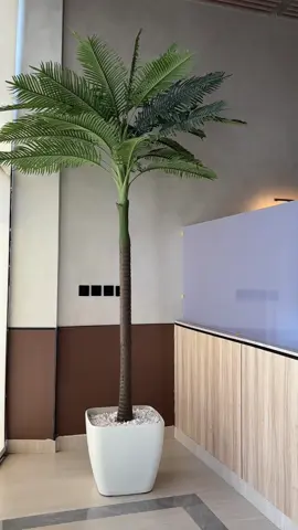 غدنا بفرع قصر الليوان جديد البلديه وطعم خياال 😮‍💨✨#الانتشار_السريع #حفرالباطن #ترند_تيك_توك #اكسبلورexplore #مطاعم_حفر_الباطن #مطعم #حفرالباطن_الان #اكسبلور #كوفيهات_حفرالباطن📍 #الشعب_الصيني_ماله_حل😂😂 