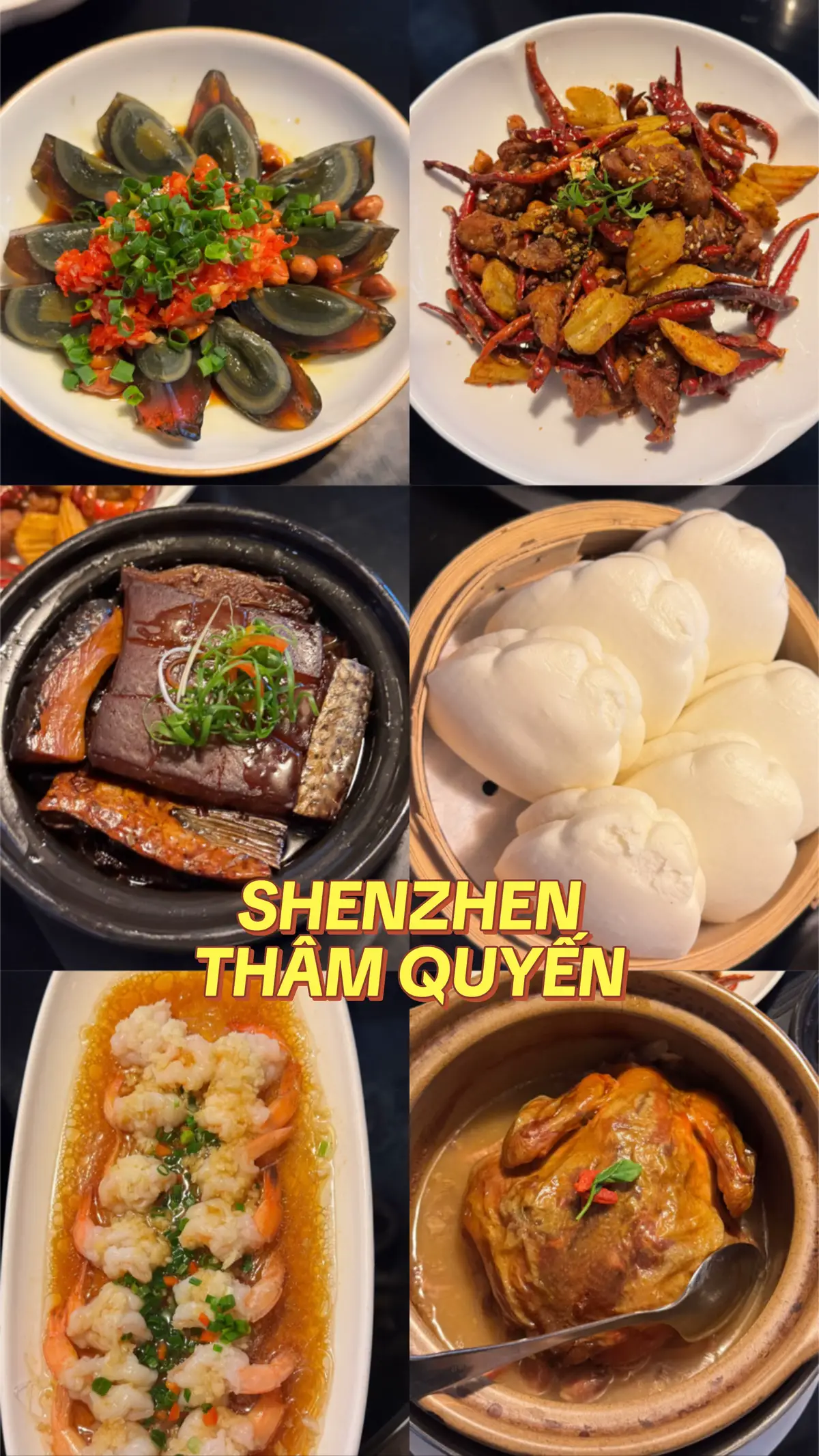 #shenzhen #thamquyen #深圳 #fyp 