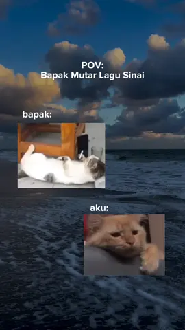 ia tunduh kita dongal 😂  #memesln # #katasln #silangukuri 