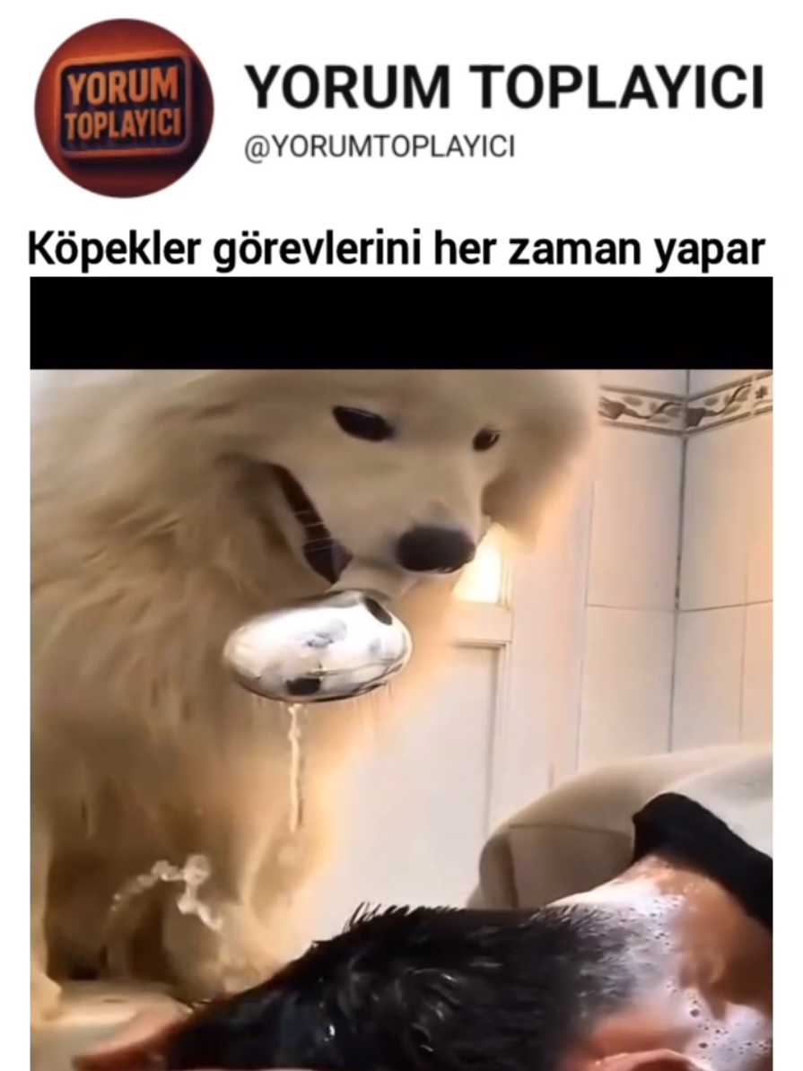 Sahibinin duşu yarım kalmasın diye sıcak suyu açtı