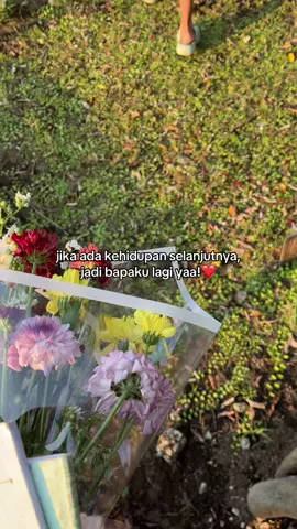 udaa 86 hari yaa paa❤️
