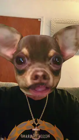 Lololol I’m dog tired today #losangelescalifornia🔥🔥🔥🔥🔥🔥🔥🔥🔥🔥🔥🔥🔥🔥  