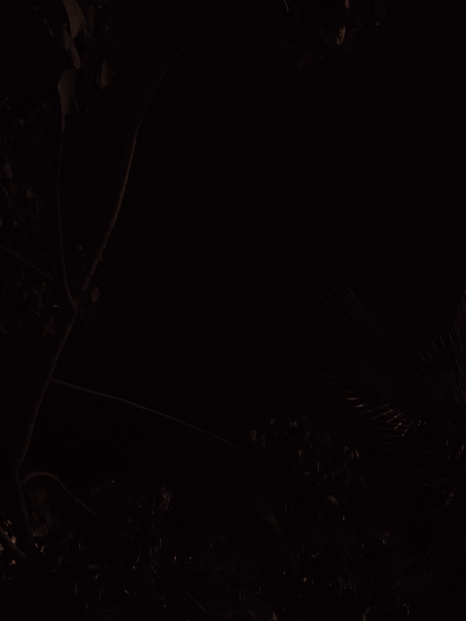 STALINE ElGrandeToto #song #elgrandetoto #musica