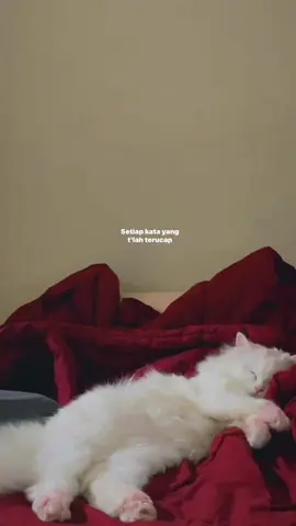 #lyrics 