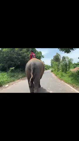 เร็วแรงทะลุสวรรค์
