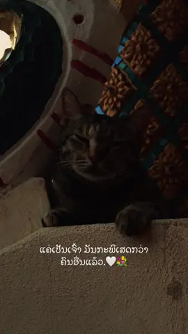 #1 #เทรนด์วันนี้tiktok #ดันขึ้นฟีดที #ยืมลงสตอรี่ได้ #สตอรี่ความรู้สึก #เธรดคนคลั่งรัก #ฟีดดดシ 