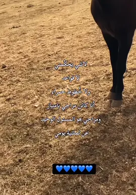 غير متوقعة ،، مُتقلبة ،، لا ثبات لي ولا جهة واحدة #foryou #viral #foryoupage #اكسبلورexplore 