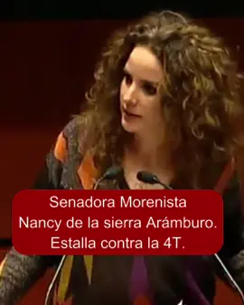 Escuchen esto Morenistas #claudiasheimbaum #morena #pan #despiertamexico #chihuahua #migrantes #pri #sinaloa #luisitocomunica #Sheinbaum 