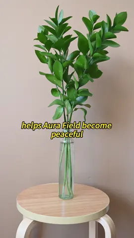 Home energy is very important #wealth #energy #fengshui #fengshuitips #fyp 