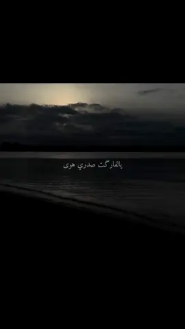 حسينك أنا😔🩶! #باسم_الكربلائي #fyp #foryou #tiktok #viral 