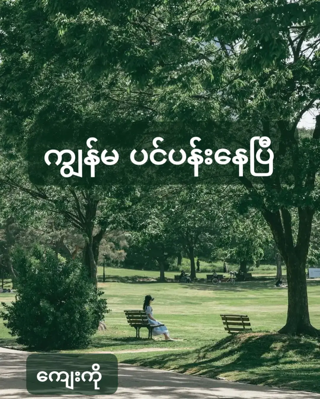 ဘယ်အရာကြောင့်ဆိုပြီး ခေါင်းစဥ်တပ်လို့ မရတော့လောက်အောင် အရာရာက ပြေးထွက်ချင်နေမိတဲ့အထိ ကျွန်မ ပင်ပန်းနေခဲ့ပြီ ထင်တယ် ။ အဆင်ပြေလာမှာပါဆိုပြီး လျှောက်လာရင်းက တစ်နေရာရာမှာ လဲကျလို့ရရင် ကောင်းမယ်ဆိုပြီး တွေးနေမိတဲ့အထိ ကျွန်မ စိတ်ကော လူကော နွမ်းနေခဲ့ပြီ ။ ပုံမှန်ဆို ကျွန်မ သိပ်သန်မာချင်ယောင်ဆောင်တတ်တာ ။ တော်ရုံတန်ရုံ ဒုက္ခမျိုးလောက်နဲ့ ထူးပြီး ညည်းပြနေတတ်တဲ့ လူတစ်ယောက်မဟုတ်ဘူး ။ ပြီးတော့ သိပ်အဆင်ပြေချင်ယောင်ဆောင်တတ်တာ ။ ဘယ်သူ့ကိုမဆို ကိုယ့်ကြောင့် ပူသွားပါလိမ့်မယ်ဆိုတဲ့ အတွေးနဲ့ ဘယ်အဆင်မပြေမှုကိုမဆို သိမ်းထားပြီး ပြုံးပြုံးလေး ရင့်ကျက်ပြခဲ့တာလေ ။ ဒီအချိန်မှာတော့ အဆင်ပြေရဲ့လားဆိုပြီး မေးမယ့် တစ်စုံတစ်ယောက်ကို တောင့်တနေမိတယ် ။ အဲ့ဒီမေးခွန်းလေးရဲ့အဆုံးမှာ ဘာတစ်ခုမှ အဆင်ပြေမနေတဲ့အကြောင်းကို ငိုပြီး ပြောလို့ရရင် ပြောပြချင်နေမိတယ် ။ တစ်ကြိမ်တစ်ခါမှ ဒီလောက်ထိ မပြိုလဲခဲ့ဖူးသလို အဆင်ပြေသွားမှာပါဆိုပြီး ကိုယ့်ကိုယ်ကိုယ် မညာနိုင်တဲ့အထိ ရုပ်မပျက်ခဲ့ဖူးဘူး ။ လုပ်လက်စ အလုပ်တွေကိုလေ ဖြစ်နိုင်ရင် နားထားချင်မိတဲ့အထိ စိတ်ကော လူကော ပင်ပန်းလို့ ။ ဖြစ်လာမယ့် အကျိုးဆက်တွေကို မတွေးချင်တဲ့အထိ အရာရာက ခဏပဲဖြစ်ဖြစ် အနားယူနေချင်မိတာ ။ ကျွန်မ ပင်ပန်းနေပြီ ။ ဒီအချိန်မှာ တစ်ခုခုကသာ အဆင်ပြေနေဦးမယ်ဆိုရင် အရာရာကို ကျော်လွှားနိုင်တဲ့အထိ ကျွန်မ သန်မာမှာပါ ။ ဒါပေမယ့် ဘယ်အရာကိုပဲ ငေးကြည့်ငေးကြည့် မပျော်စရာတွေ များနေတဲ့အခါ မျက်ရည်တွေပဲ ပျော်ကျလာရတယ် ။ ဒီရက်ထဲ ... သတိမေ့တာတွေ များလာတယ် ။ တစ်ခုခုဆို မျက်ရည် လွယ်လာတယ် ။ ထစ်ကနဲရှိ ဒေါသထွက်လွယ်နေတယ် ။ တစ်နေရာရာကို အကြာကြီး ငေးပြီး ဘာတွေးနေမိတာလဲ ပြန်တွေးမရတာတွေ ရှိလာတယ် ။ ကိုယ့်နာမည်ကို သုံးလေးခါခေါ်မှ ကြားရတဲ့ ရက်တွေရှိလာပြီး အလုပ်တွေ လုပ်နေရင်းက အတွေးတွေဟာ များလာနေတယ် ။ ကျွန်မ ... တကယ် ပင်ပန်းနေပါပြီ ။ စိတ်ကော လူကော ပေါ့ ။ ဒီအချိန်မှာ အဆင်ပြေသွားမှာပါဆိုပြီး နှစ်သိမ့်ပေးတဲ့ စကားလုံးမျိုးပဲဖြစ်ဖြစ် ငိုချလိုက်ဆိုပြီး မြှောက်ပေမယ့် ပုခုံးမျိုးပဲဖြစ်ဖြစ် လိုနေမိတယ် ။ ငယ်ငယ်တုန်းကလိုပေါ့ အမေ ဥုံဖွလုပ်ပေးရင် ပျောက်သွားမယ့် အနာတရမျိုး ဖြစ်ချင်တယ် ။ ကိုယ်မသိတဲ့အရပ်ကို ခရီးတွေထွက်ရင်း ဘယ်သူမှ မရှိတဲ့အရပ်မှာ ပန်းတွေပျိုးရင်း ကိုယ်ဟာ မနက်ဖြန်ကို စိတ်မပူပဲ ဖြတ်သန်းချင်လာမိတယ် ။ #ကျေးကို #fyppppppppppppppppppppppp #crd_to_owner_with_respect 