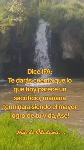 #oduduwa  #hijadeoduduwa  #oshun  #oshun🌻  #eshu  #elegua #elegua🖤❤️  #shango  #oba  #oya  #olokun  #yemanja  #yemanja🌊 #oshosi  #ogun  #obatala  #oxala  #religion  #religionyoruba  #frasesmotivadoras  #olodumare  #dios  #santos  #santeria  #santeriacubana  #santeriaafrocubana👑  #santeriamexico  #espiritualidad  #espiritismobrasil  #espiritismovenezolano  #canada_life🇨🇦  #mexico  #miamibeach  #españa🇪🇸  #costarica  #nigeriantiktok  #nigeria  #yoruba  #yorubatiktok  #contenido  #2025  #2026  #2027  #paratii  #paratiiiiiiiiiiiiiiiiiiiiiiiiiiiiiii  #paraty  #py  #pyf  #pyp  #pypシ  #pyfツviral_❤  #vira  #viralditiktok  #tik_tok  #tiktoknews  #tiktokviral  #orixas  #babalawo  #orula  #orula💚💛  #ashe  #oti  #iwo  #ebo  #ita  #orishasyyorubas😝😎📿🍀👍  #orishas 