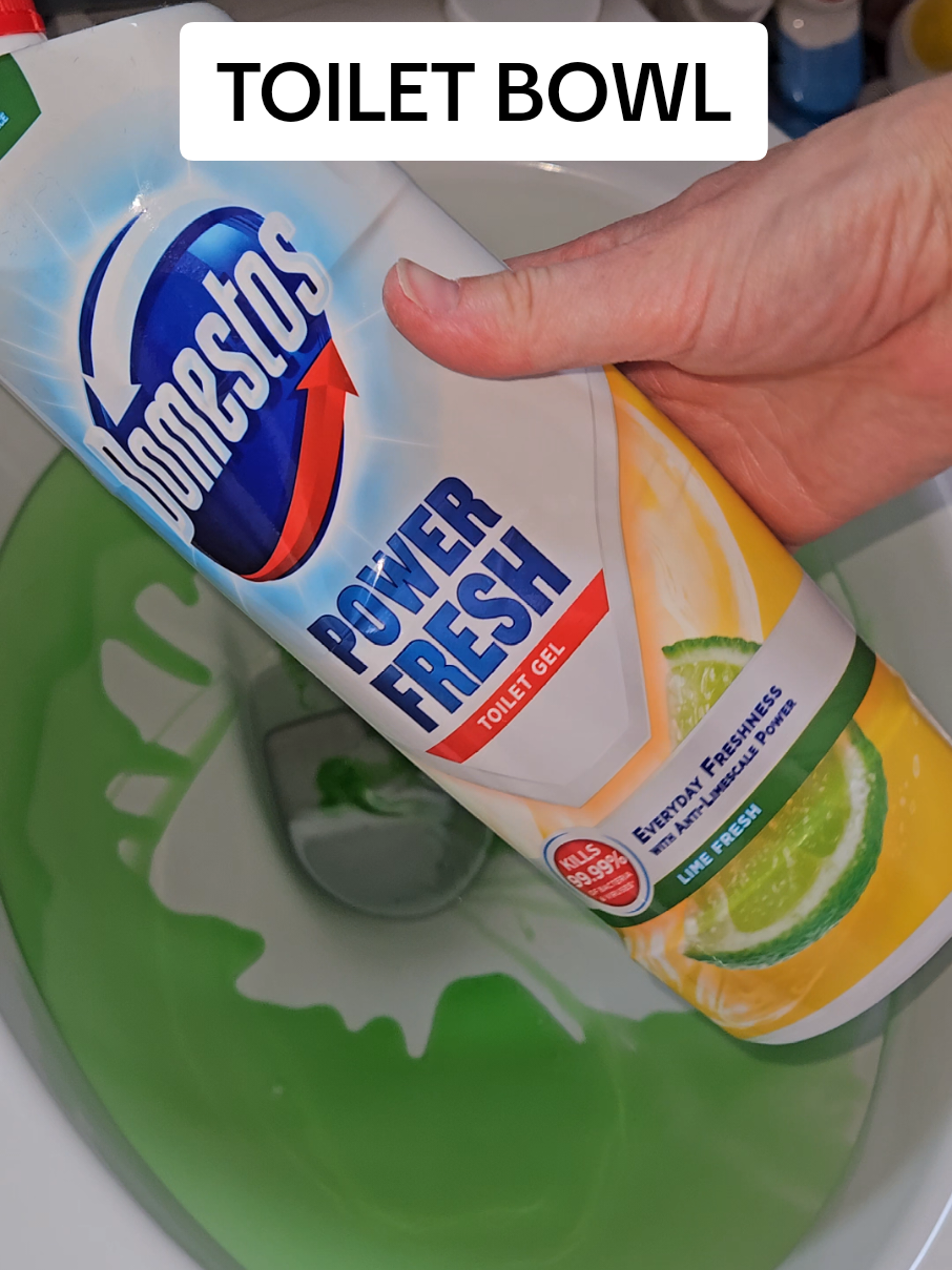 Haven't used this one in a while, look how green it is! 😅💚 Been doing DIY projects today and putting up some of my purchases (check out my stories) #cleaning #CleanTok #foryoupage❤️❤️ #fyp #cleanwithhails #cleaningmotivation #toiletclean #toilet #bathroom #cleaningtiktok 