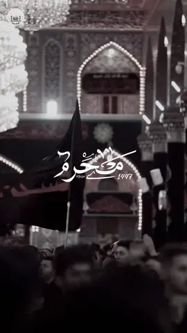 🤍🤍 - #محرم #لبيك_ياحسين #1447 #كربلاء_المقدسة #ياحسين #العراق   #ياعباس #iraq #karbala #عاشوراء 