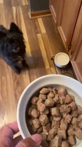 This is the first dog food we have found for Blue that he will continuously eat and gets so excited for! ##furbaby##dogfood##animalhealth##nutracomplete##pethealth##freezedried@@Ultimate Pet Nutrition