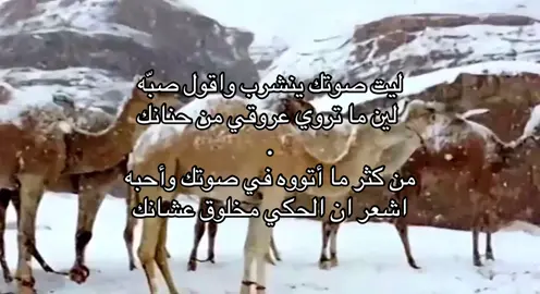 #foryou #fyp #like #explore #قصيده #شتاء 
