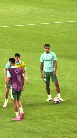 I present to you 🥁 Rios 😼🇨🇴 #richardrios #palmeiras 