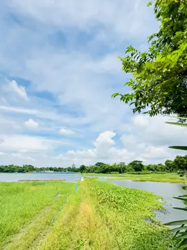 নীরব নদী, সবুজ পথ — জীবনের আসল গল্পটা এখানেই❤️‍🩹 #foryou #trending #viral #trendingsong #unfuzzmyaccount #1millionaudition #nature #sky #viral #tiktokbangladesh🇧🇩 #red_wine