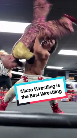 Micro Wrestling is The Best Wrestling #prowrestling #microwrestling 