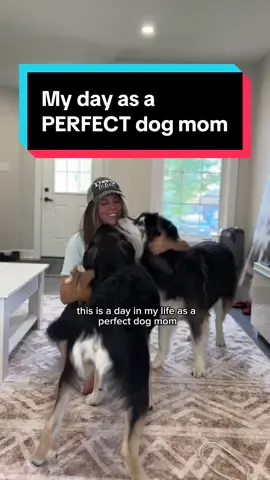 the perfect dog mom doesn’t exis-🫢  #Husky #Puppy #DogMom #FunnyDogs #DogVideos
