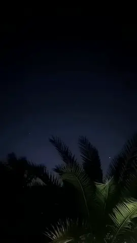 #شيلات_شعر_قصايد_خواطر_ذوق #عباراتكم_الفخمه🦋🖤🖇 #اكسبلورexplore 