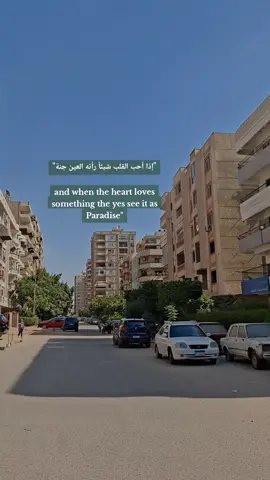 #حب #مصر 