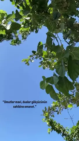 💙💚