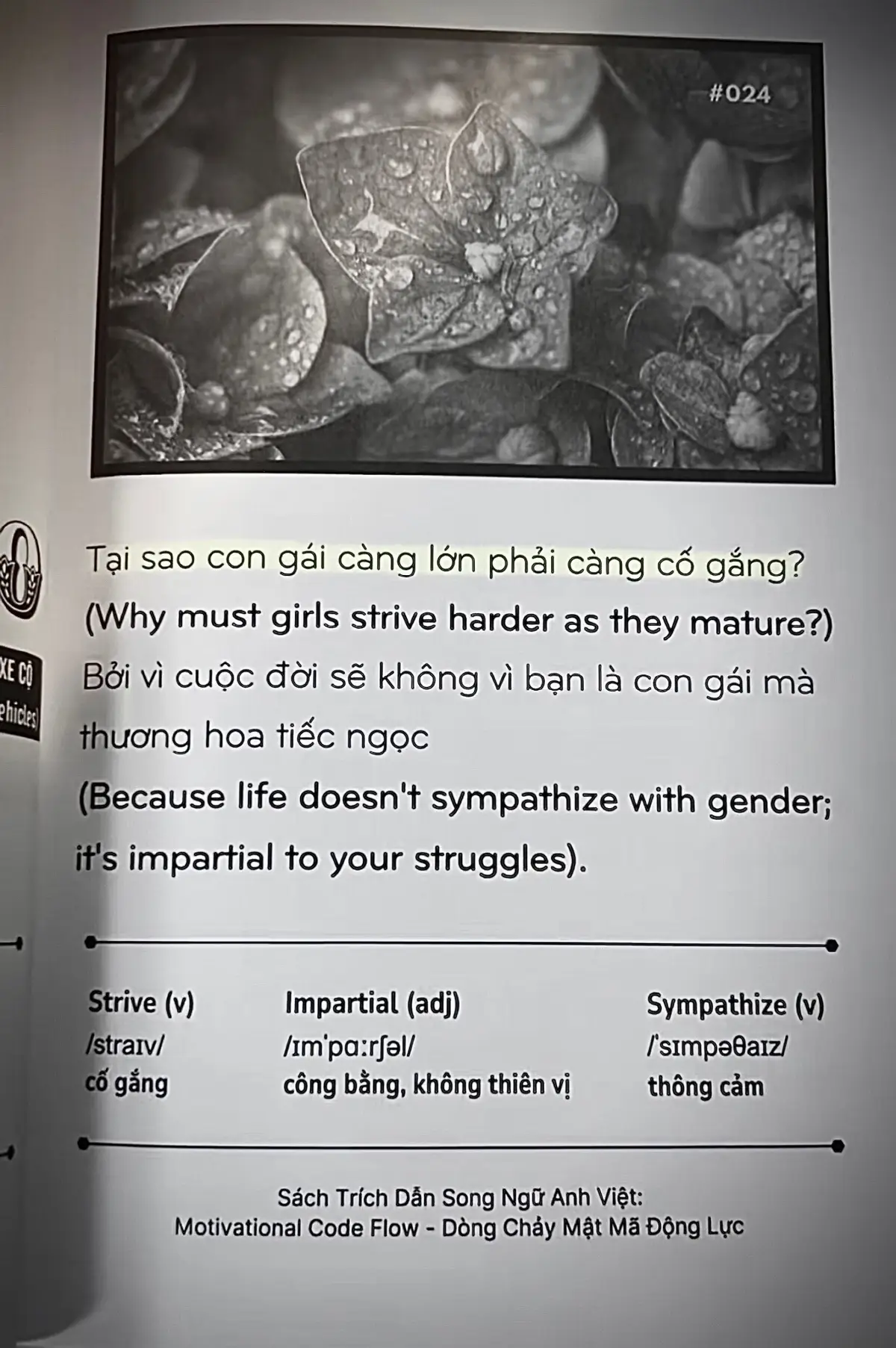 Nhớ nhé ! sẽ chẳng có ai trên đời vì bạn ngoại trừ gđ bạn🩷 #sadstory 