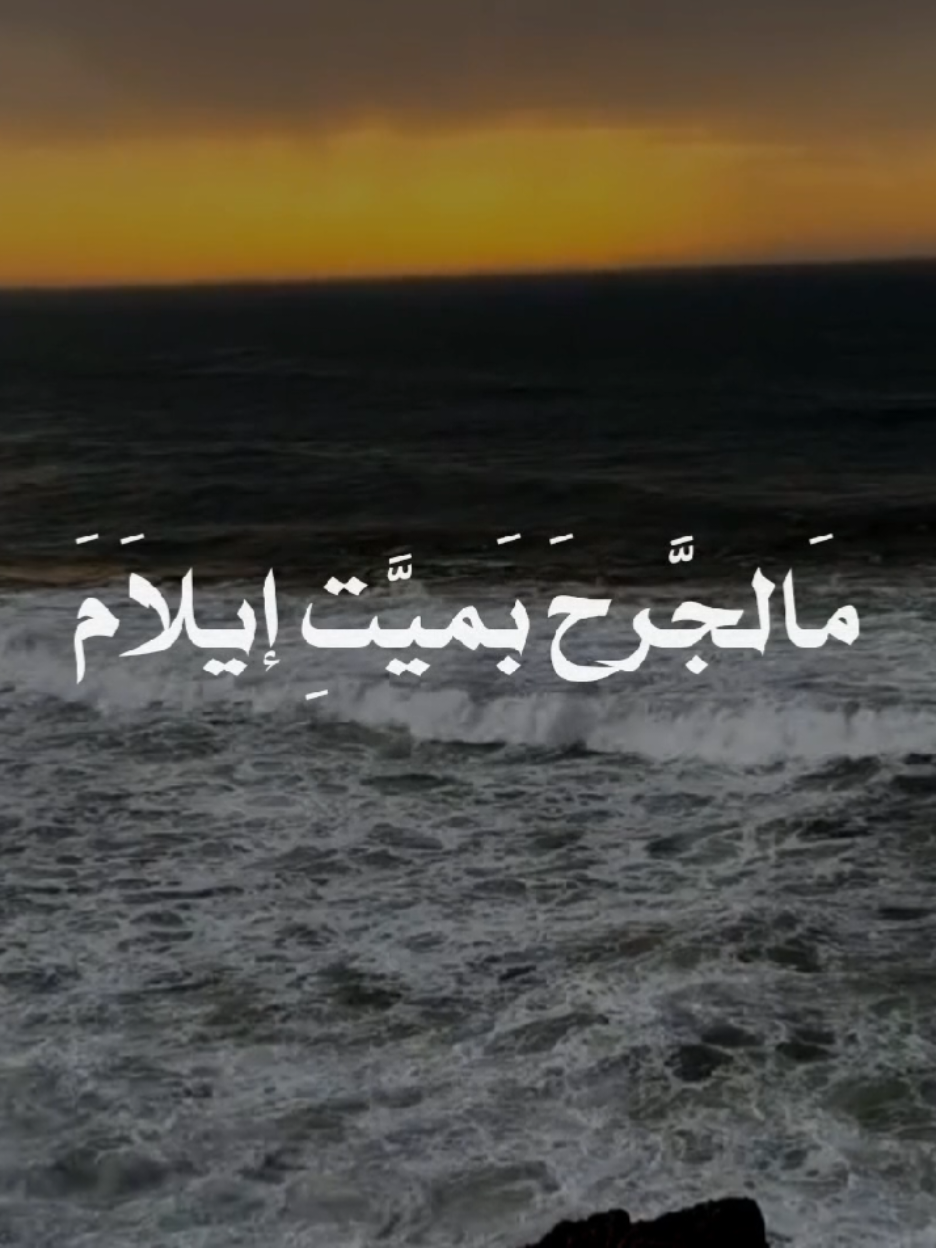 مالجرح بميت إيلام  #الشيخ_احمد_الوائلي  #اكسبلورexplore #tiktok 