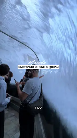 океанариум в Москве с бесплатным входом тоннель под водой, огромные аквариумы и ощущение настоящего морского мира полная информация в описании профиля • под аватаркой