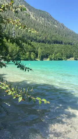 🧘🏻‍♀️ 🌊 ☀️ #walchensee #deutschland #bayern #bayrischekaribik #germany #bavaria #kochelamsee #summer #sommer #sonne #sun #swimming #beach #relax #meditation #mindful #nature #holiday #urlaub #fyp #foryoupage #fürdich 