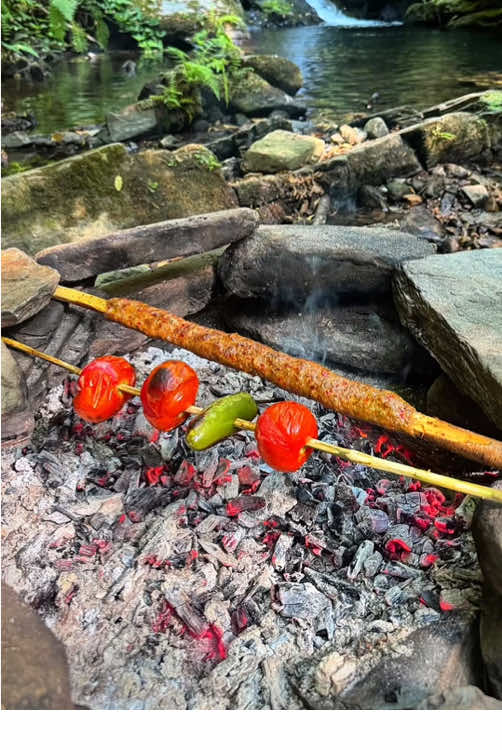 Grilled beef skewers on hot coals in nature 🥩🪵🔥💦🐿 #cookingasmr #outdoorcooking #Recipe #leon #cookingnature #camping #foodtiktok #grilled #beef 