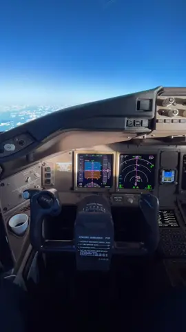 #pilot #fyp #cabina #tripulantedecabina #camera #airplane 