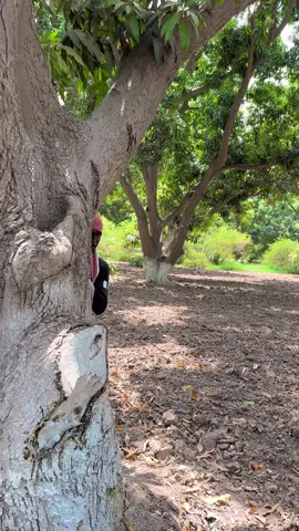 Power of red button (north Korea)😂😂✅#foryou #foryoupage #grow #account #viral #funnyvideo #fyp #fyznrao #faizanrao @Faizan Rao 