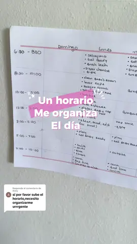 Respuesta a @Anny  aquí está todo! #horario #organizacion #maternidad #limpieza 