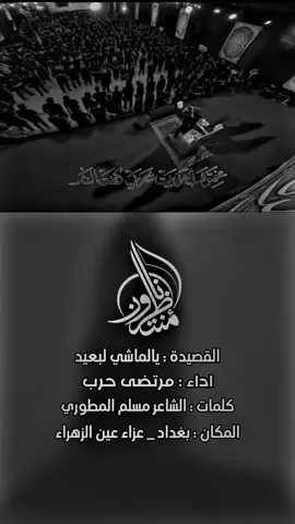 //القصيدة : يالماشي لبعيد #بغداد  #مرتضى_حرب  #مشاهدات  #لايك_متابعه_اكسبلور 