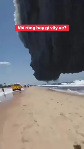 Biến động năm 2025#fyp #voirongkhonglo #xuhuong 