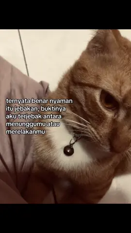 #masukberanda #quotes 