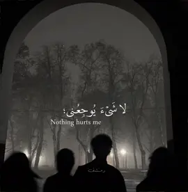 مضيتُ في وحدتي، كأنني لا أنتمي لهذا العالم منذ البداية. I walked on in my solitude, as if I never belonged to this world to begin with. . . . . . #محمود_درويش🤎✨ #محمود_درويش #fyp #explore #fybシ #قصائد #شعر #viral #foryou #تصميمي #flying #flyingmachinesplit 