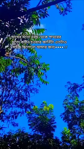 মোমের মতো নরম থেকে পাথরের মতো কঠিন হওয়ার জার্নিটা এতটাও সহজ ছিলো না আমার জন‍্য#bdtiktokofficial #videoviral #trending #viraltiktok #foryoupage #foryou #viralvideo 