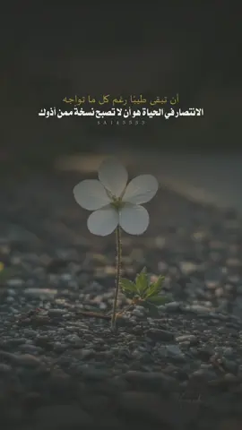 أن تبقي نسختك الطيبة رغم بشاعة ما تواجه 👌🏼👌🏼