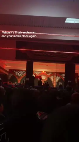 #IZIM #muharram #shia #vienna