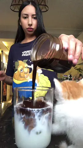 #soukainasing #coffee #icedcoffeeathome #mocha #coffeequeen #LearnOnTikTok #barista #Summer #drink #your_coffee #summervibes #coffeelover #coffeeaddict #explore #fyp #kitten 