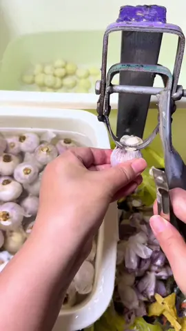 peeling garlic