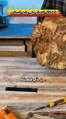 #قصص #قصص_حقيقية #قصص_واقعية #اكسبلور #قصة_كاملة #اكسبلور #الامام_علي #شعب_الصيني_ماله_حل😂😂 #الشيخ_حازم_الباوي #fyp #tiktok #trending #foryoupage 