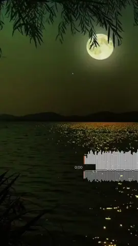 يحاصرني شعور الذل لما......😔🥹🥺 #ناصر_السعيد #يحاصرني_شعورالذل_لما #اناشيد #اناشيد_اسلاميه #اناشيد_بدون_موسيقى #fyp #fouryou #foryoupage #ib_r1425 #تصميم #تصميم_فيديوهات🎶🎤🎬 #ستوريات #ستوريات_انستا 