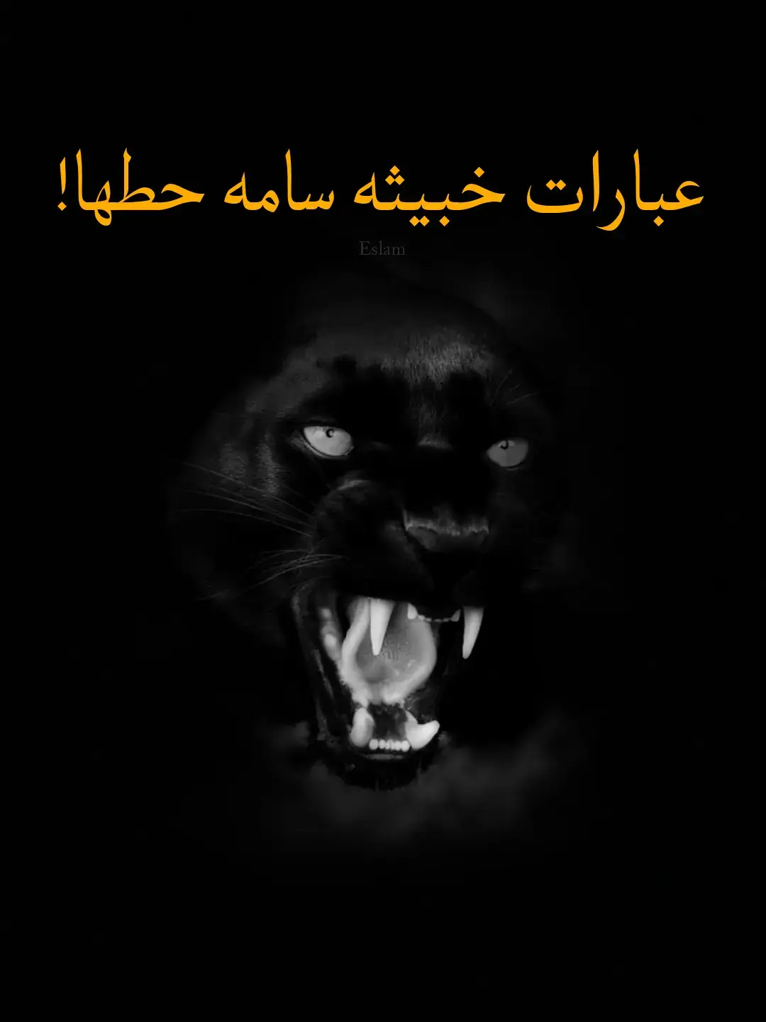 يعجبني رأيكم😔🔥🖤ماافضل عباره اعجبتك🖤🔥😔#fyp #لاتبخلون__علينا🎩🥀 #عباراتكم_الفخمه📿📌 #نرجسيه🖤🌸 #ملك_العبارات👑🖤 #Eslam #فخامه #كبرياء #ترند 